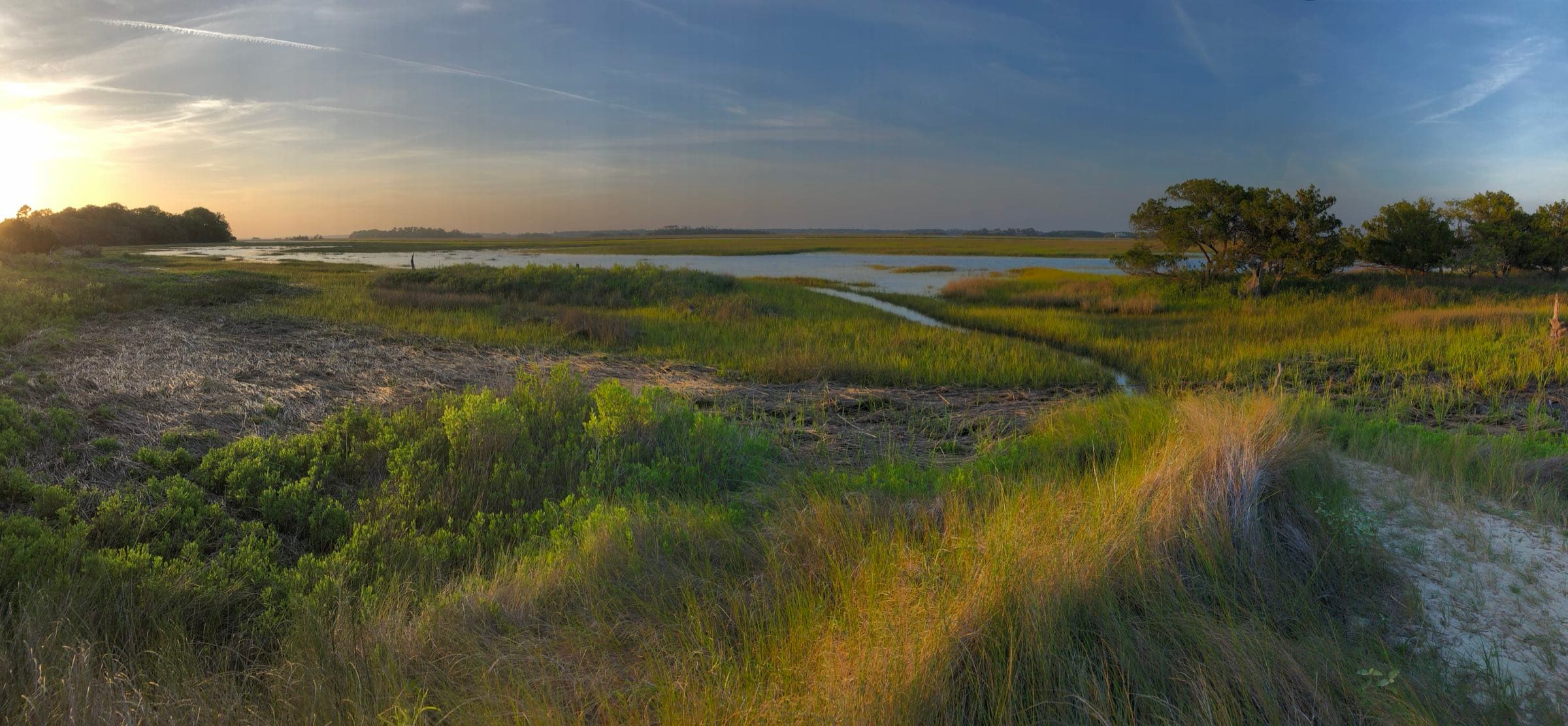 Dune grass and marsh in late-day light on Seabrook Island