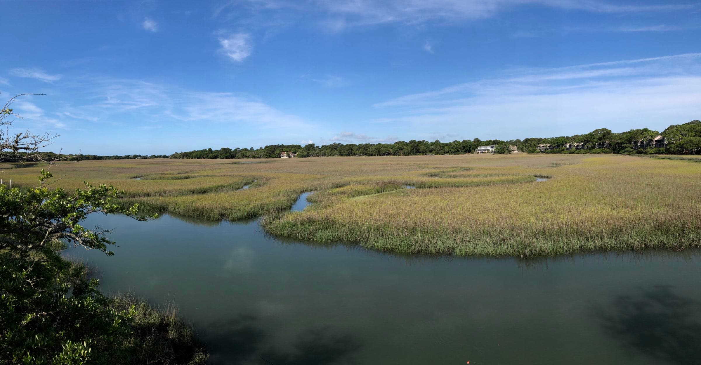 Tidal creek winding through spartina marsh on Seabrook Island