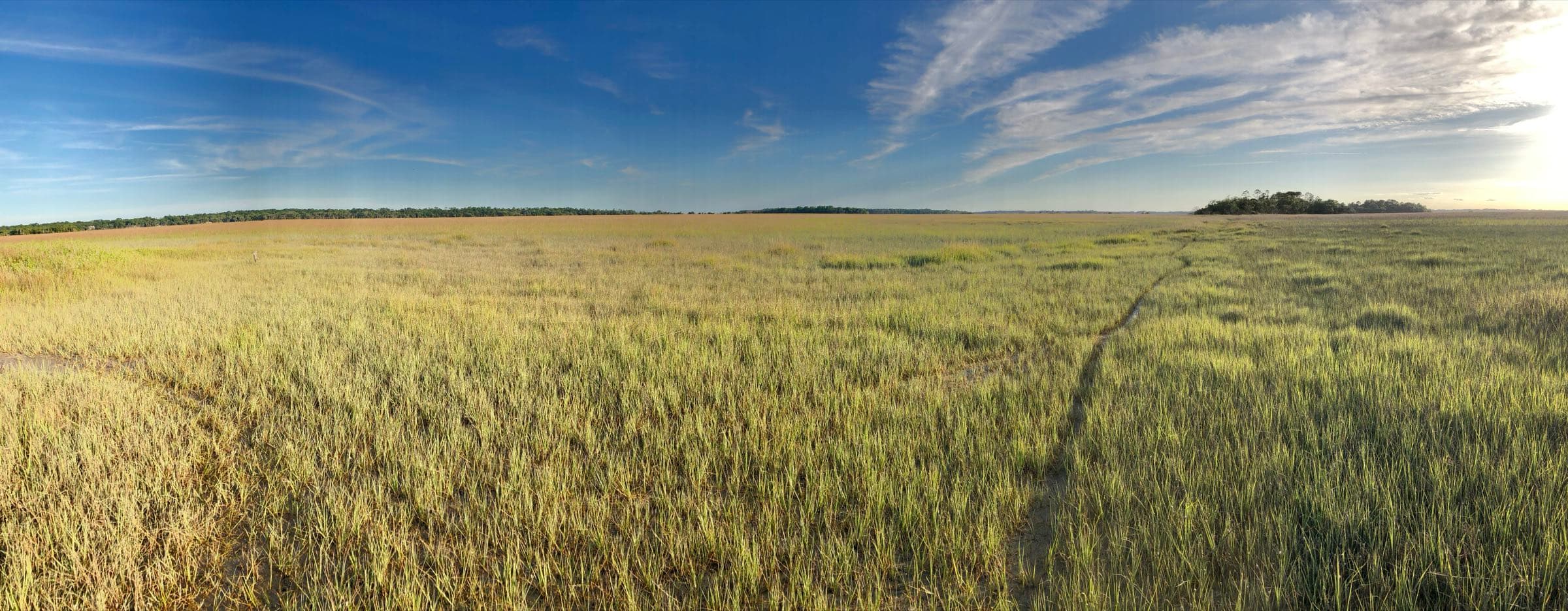 Marsh surrounding Nancy's Island, Seabrook Island